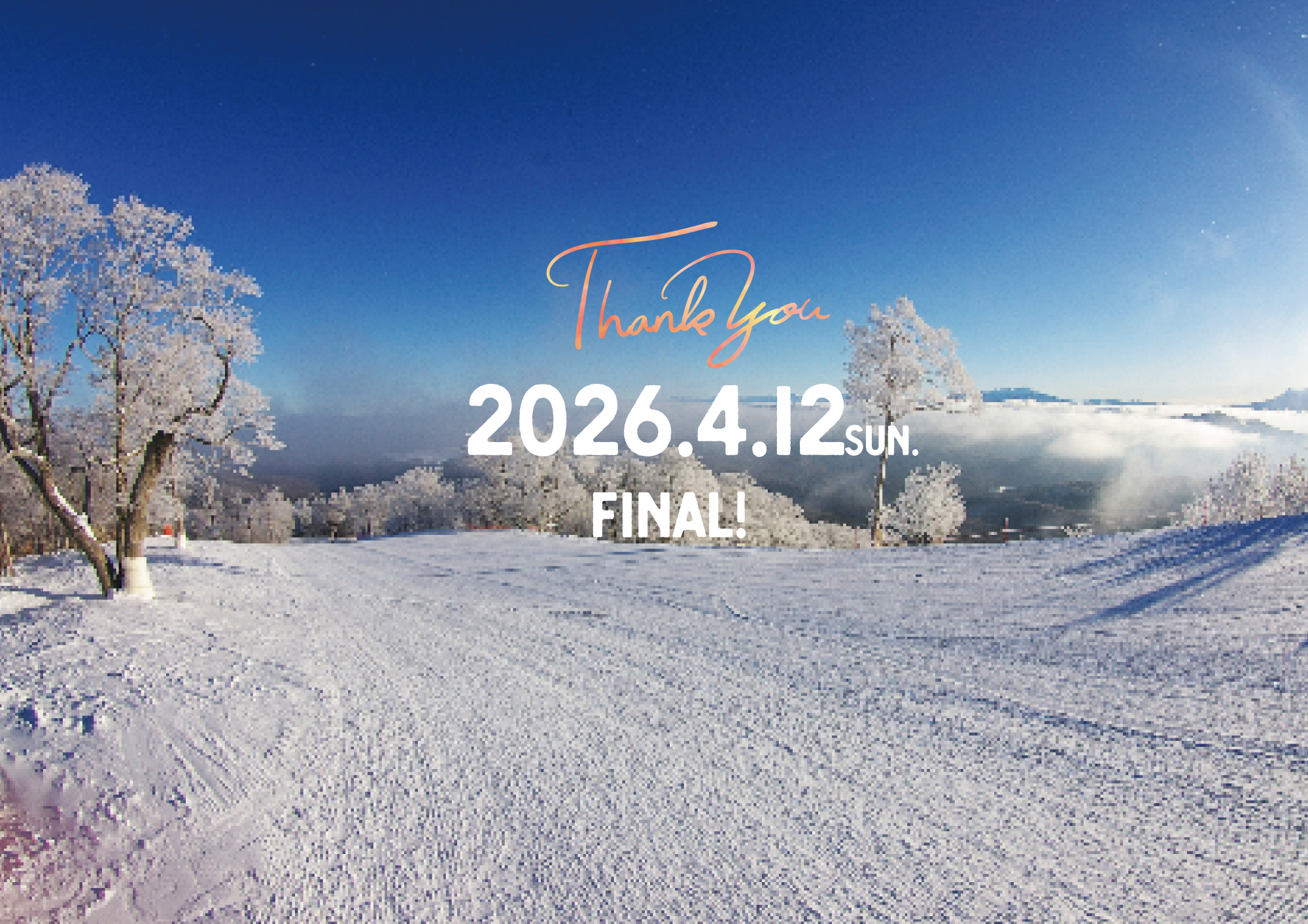 「最終日４月１２日（日）」今後の営業予定