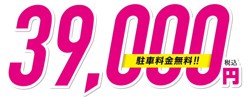 大人全日シーズン券（駐車場料金込！）39,000円税込