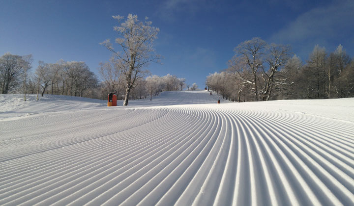 スカイ バレイ 積雪